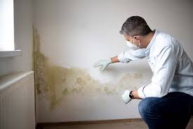 Why You Should Choose Our Mold Remediation Services in Holt, AL